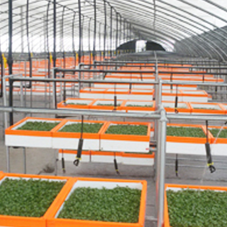 濟(jì)寧博聯(lián)生物科技