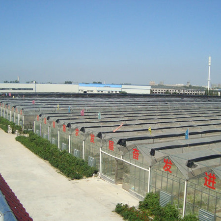 濟(jì)寧博聯(lián)生物科技